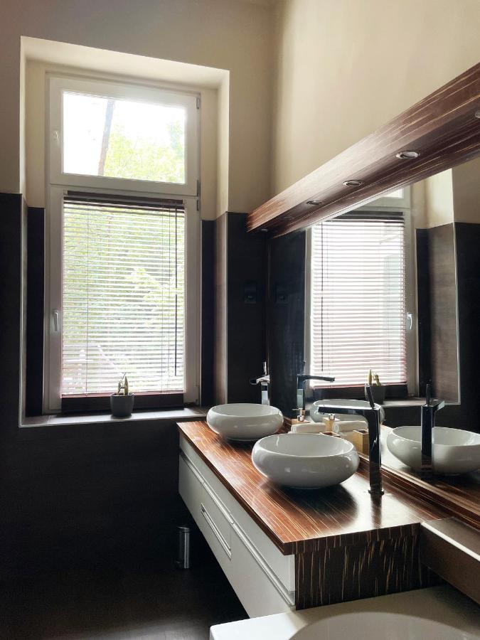 Deluxe Cosmopolitan Apartment בודפשט מראה חיצוני תמונה